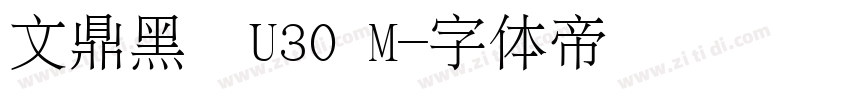 文鼎黑體U30 M字体转换